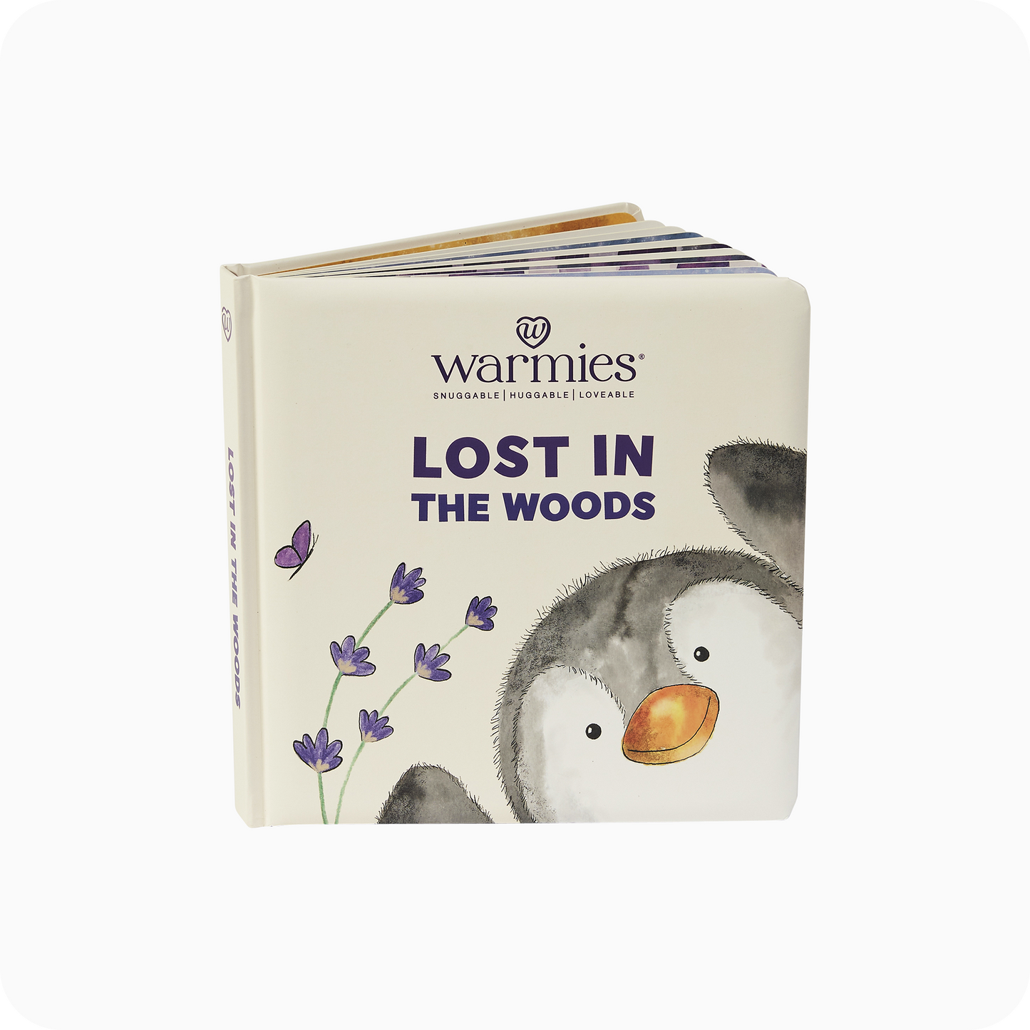 Lost in the Woods Board Book
