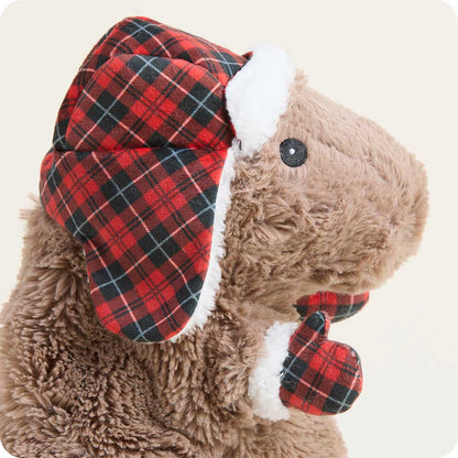 Cozy Capybara Warmies