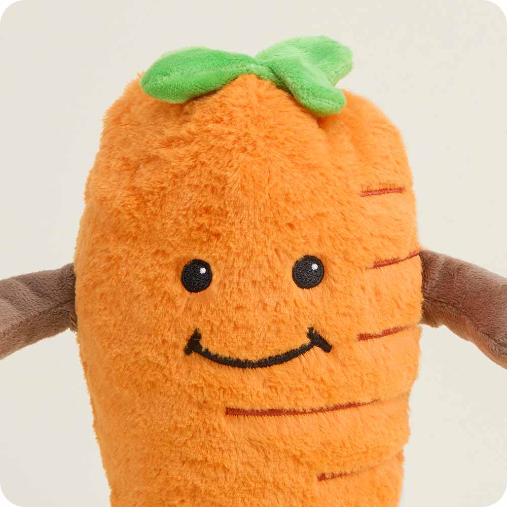 Carrot Warmies