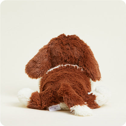 St. Bernard Warmies