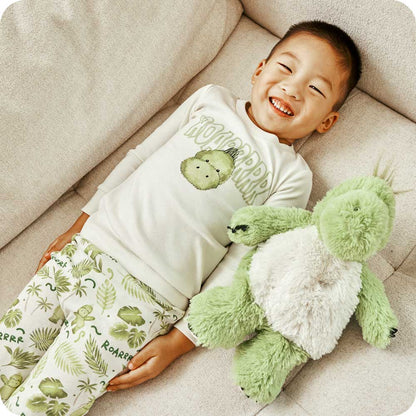 Dinosaur Long Pajamas
