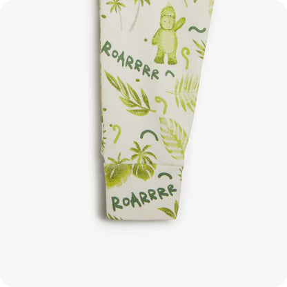Dinosaur Long Pajamas