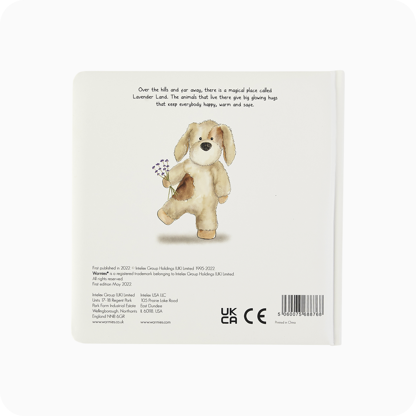 A Special Secret Place Board Book