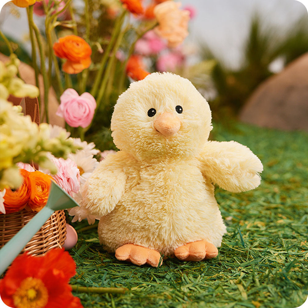 Chick Warmies