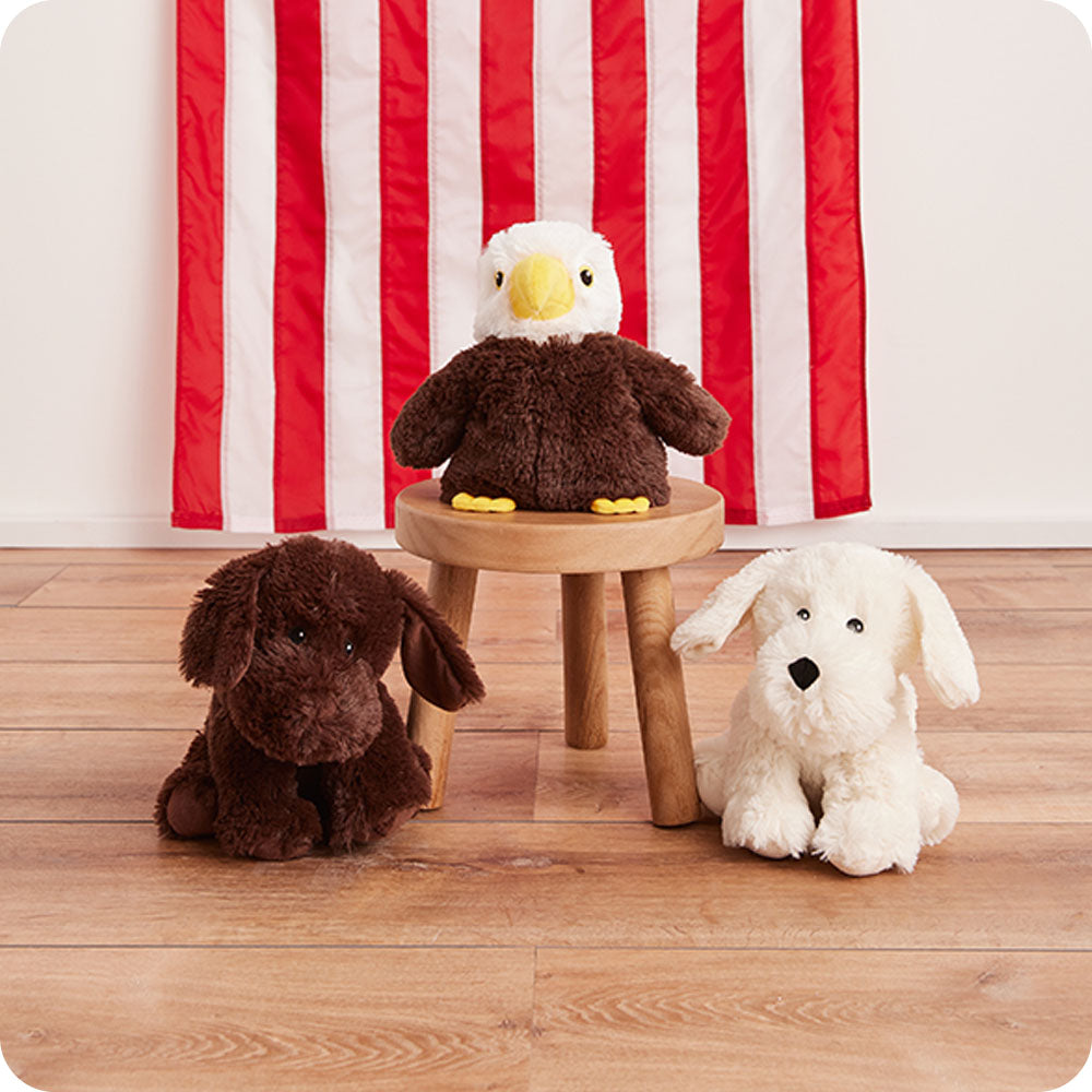 Chocolate Labrador Warmies
